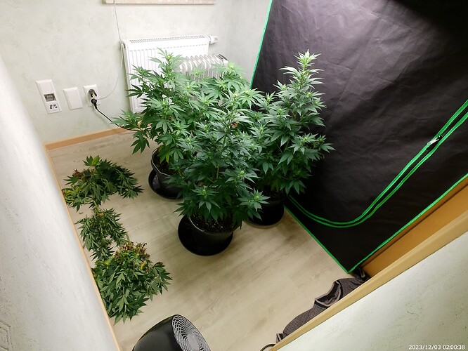 Growreport Bild 15