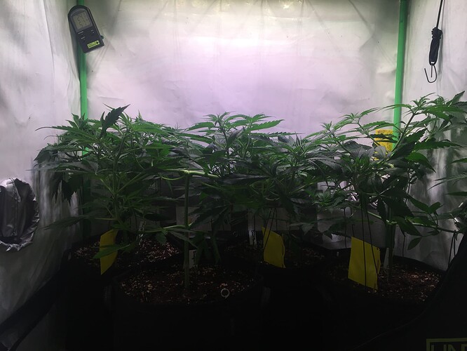 Growreport Bild 2
