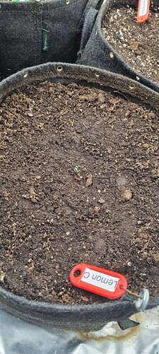 Growreport Bild 38