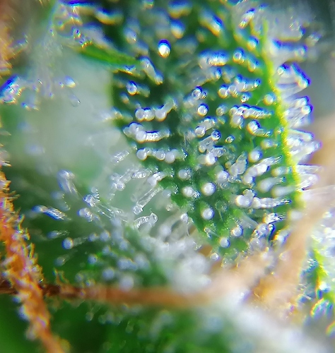 Growreport Bild 14