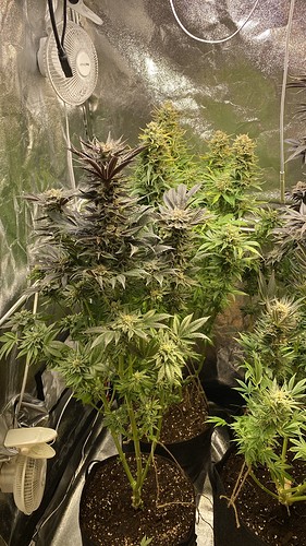 Growreport Bild 18