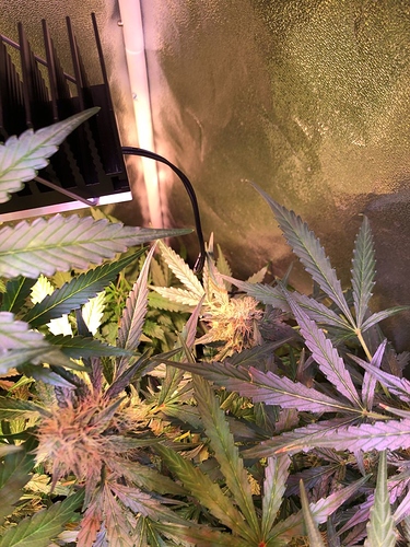 Growreport Bild 14