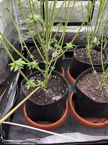 Growreport Bild 11