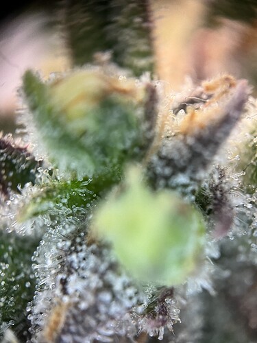 Growreport Bild 21