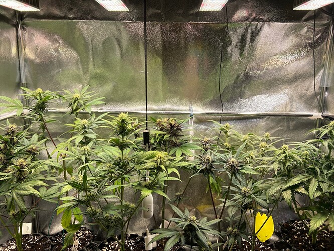 Growreport Bild 3
