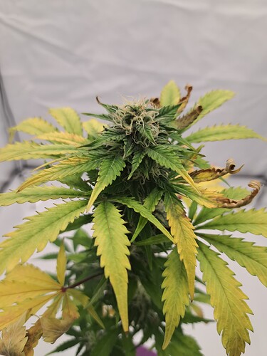 Growreport Bild 2