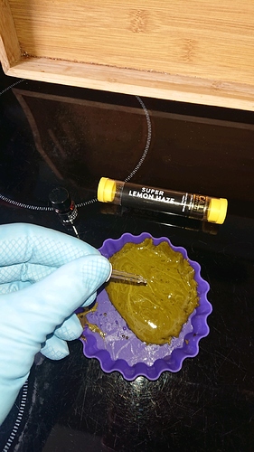 obscura1607950735047