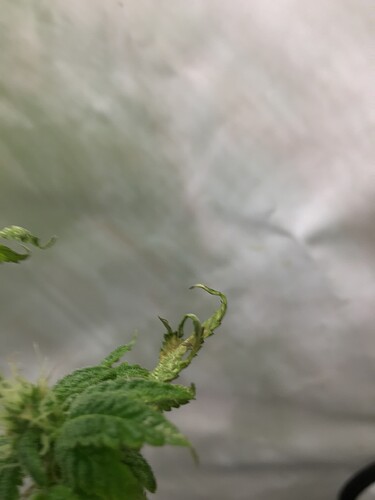 Growreport Bild 11