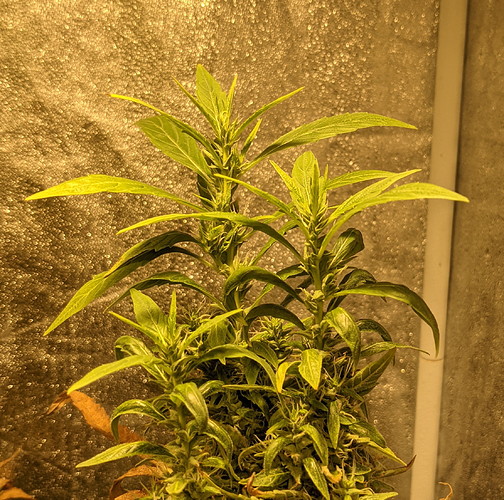 PXL_20210621_101047141