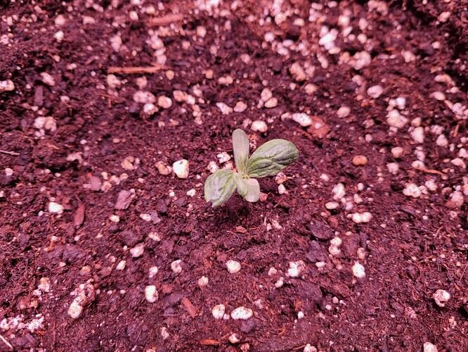 Growreport Bild 19