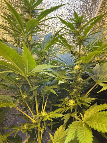 Growreport Bild 7
