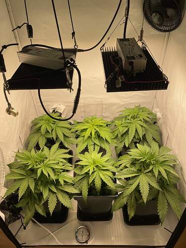 4957746_grow-journal-by-glen1818