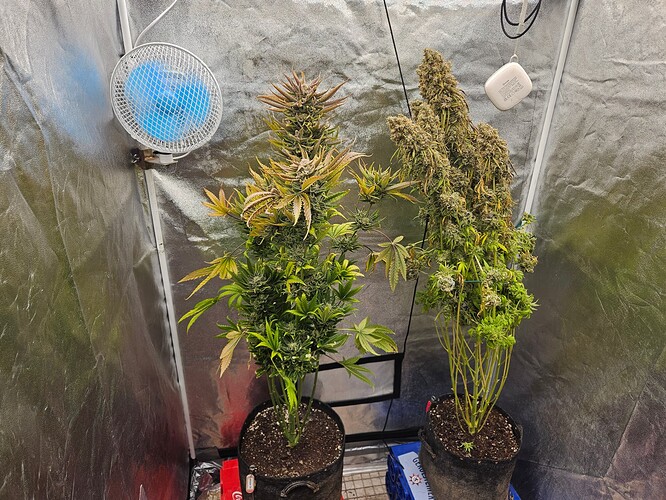 Growreport Bild 11