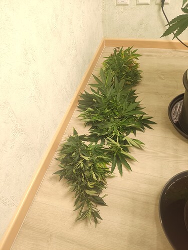 Growreport Bild 26