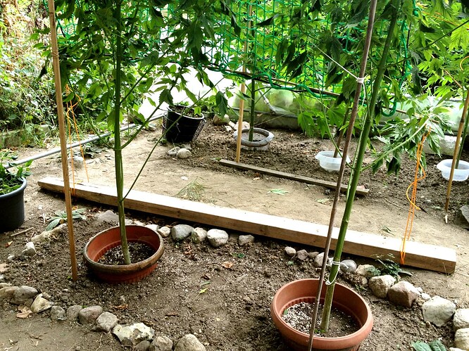 Growreport Bild 11