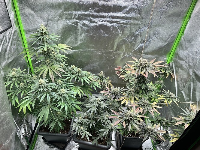 Growreport Bild 21