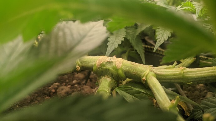 IMG_20231207_230945_778