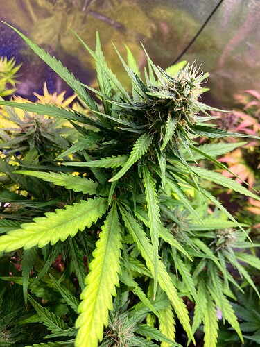 Growreport Bild 8