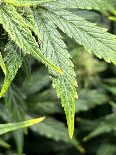 Growreport Bild 28