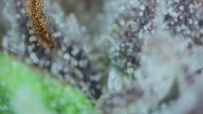 2022-06-25-032041753