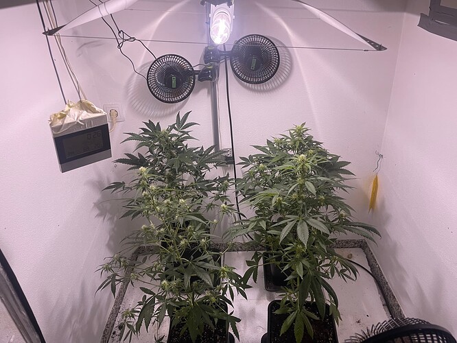 Growreport Bild 14