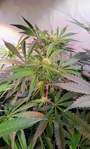 Growreport Bild 11