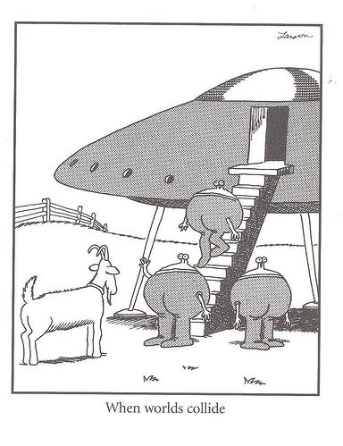 858113f221d774e78770dc47ceb0d429