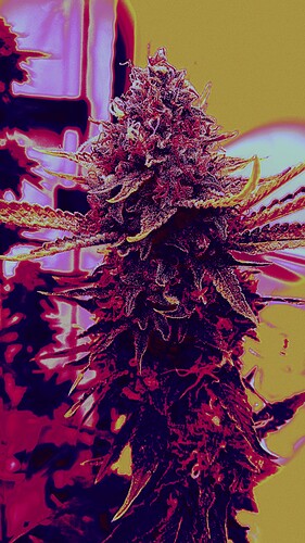 Growreport Bild 50