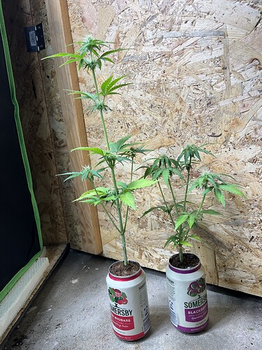 Growreport Bild 13