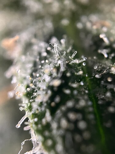 Growreport Bild 17