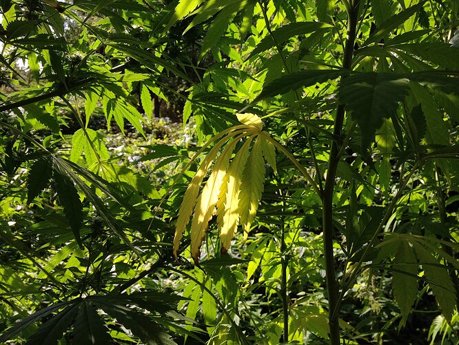 Growreport Bild 6