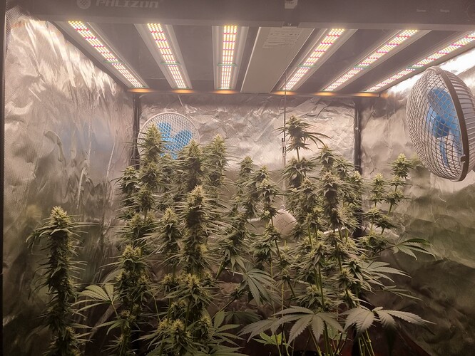 Growreport Bild 14