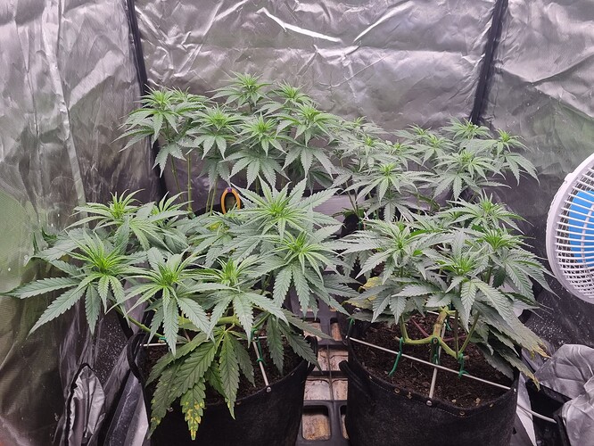 Growreport Bild 10