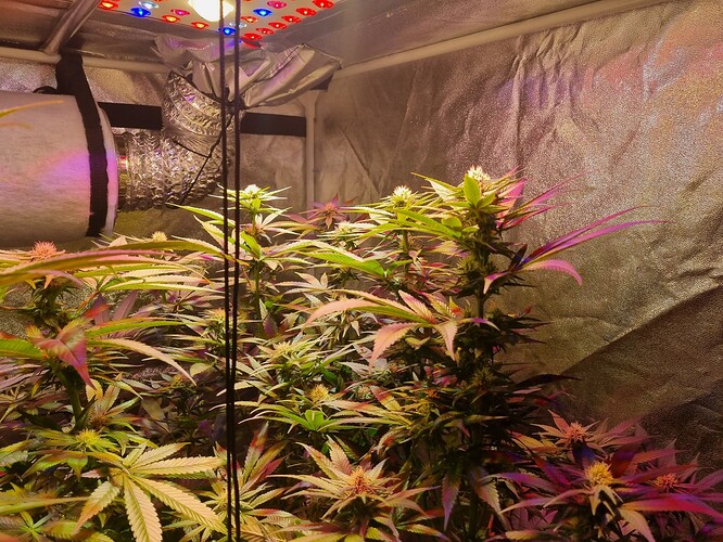 Growreport Bild 16