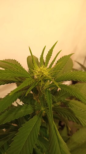 Growreport Bild 2