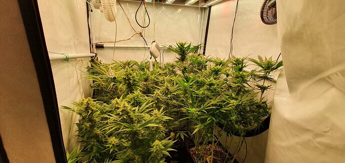 Growreport Bild 2