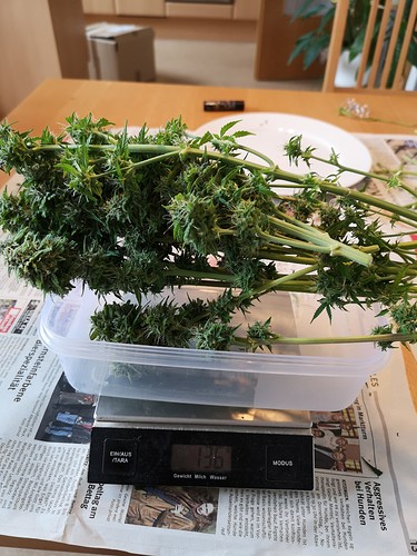 Growreport Bild 13