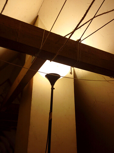 Growreport Bild 9
