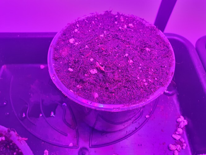 20231015_095551 - Kopie