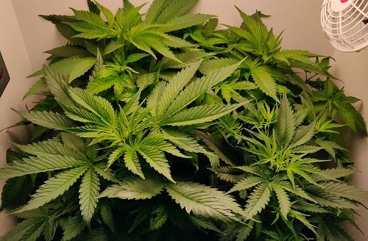 Growreport Bild 11