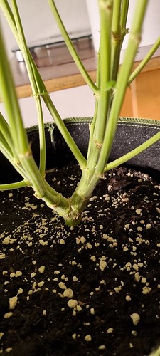 Growreport Bild 11