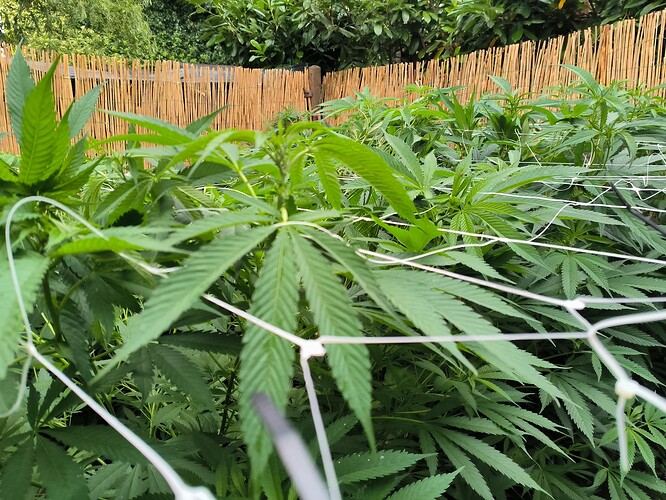 Growreport Bild 10