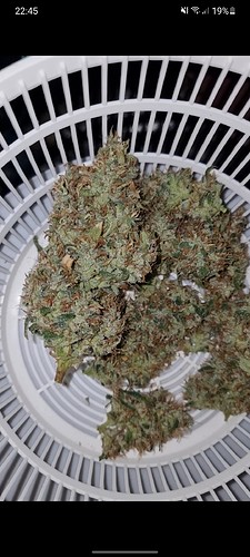 Screenshot_20210702-224539_Gallery