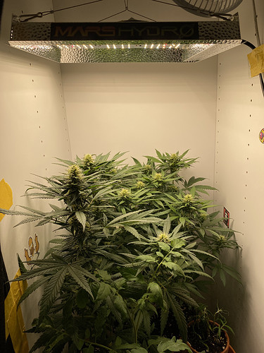 Growreport Bild 2