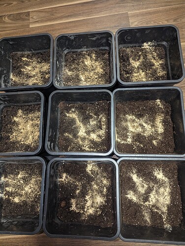 Growreport Bild 3