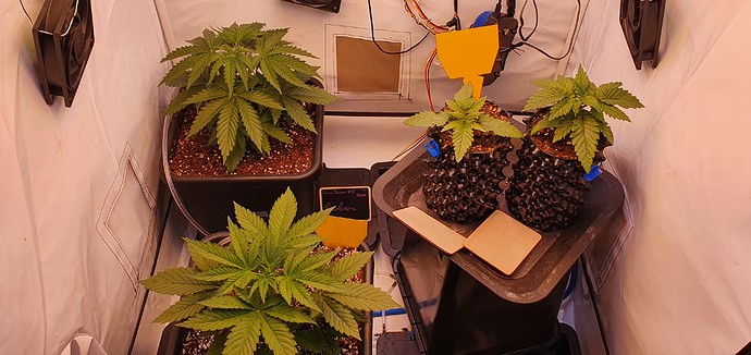 Growreport Bild 17