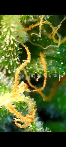 Growreport Bild 10