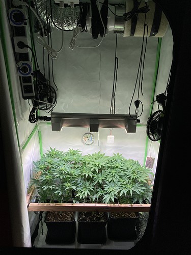 Growreport Bild 8