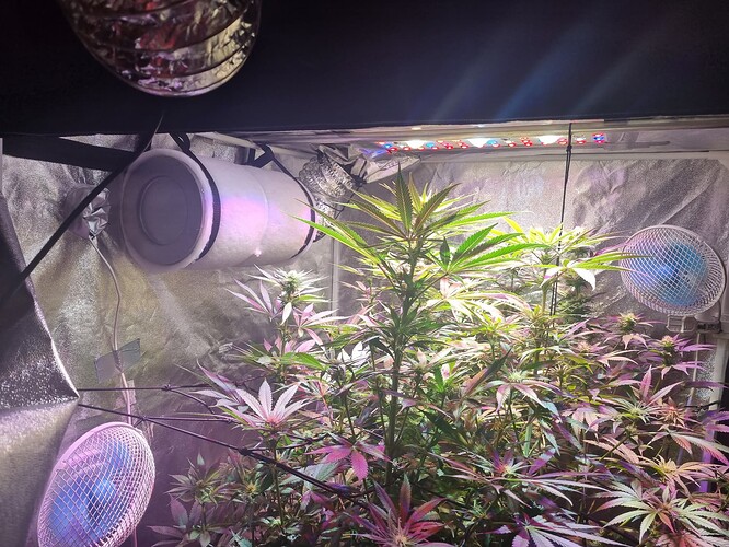 Growreport Bild 9
