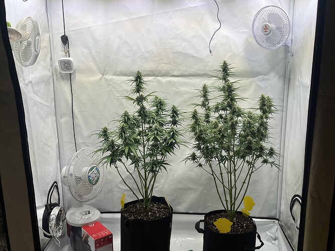 Growreport Bild 18